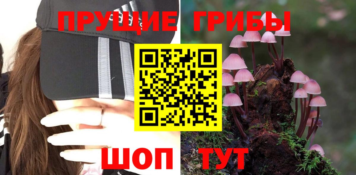 Псилоцибиновые грибы GOLDEN TEACHER Лыткарино