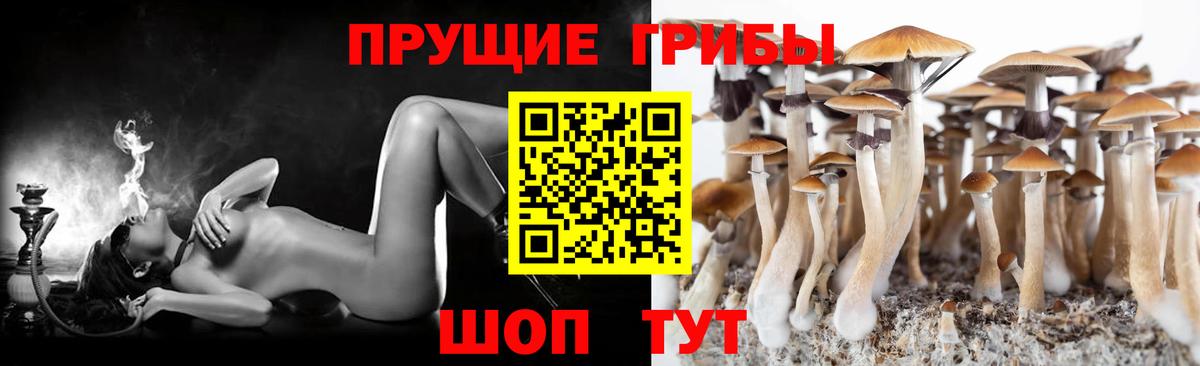 Лыткарино  Галлюциногенные грибы мухоморы  Вход с VPN  Галлюциногенные грибы прущие грибы 
